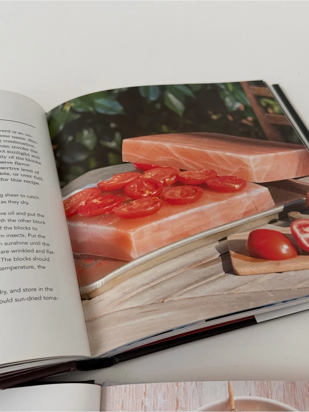 Williams-Sonoma The Salt Plate Cookbook & Salt Block Cooking.